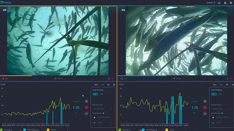 AKVA Observe Feeding fish with AI