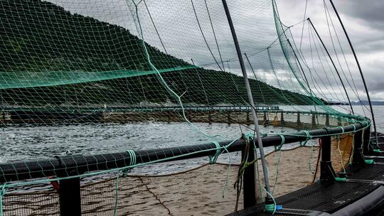 Special nets - AKVA group